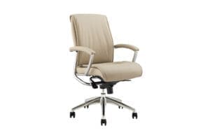 Beige ergonomic office chair with chrome base.